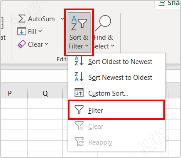 the "Filter" option to filter information in excel